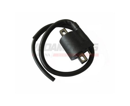 Bobina Ignição Ybr 125 Factor 125 09 Dt 200 Xt 225 Crypton 105 115 Neo 115 VEDAMOTORS 5015343
