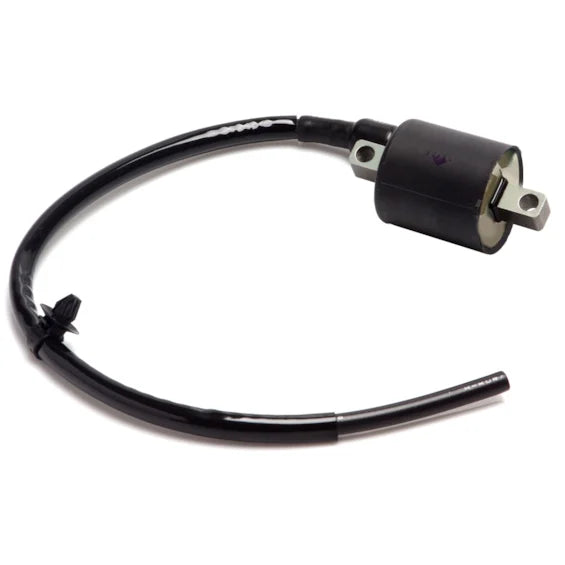 Bobina Ignição Xre 300 10/20 Falcon 13/15 VEDAMOTORS 5015359
