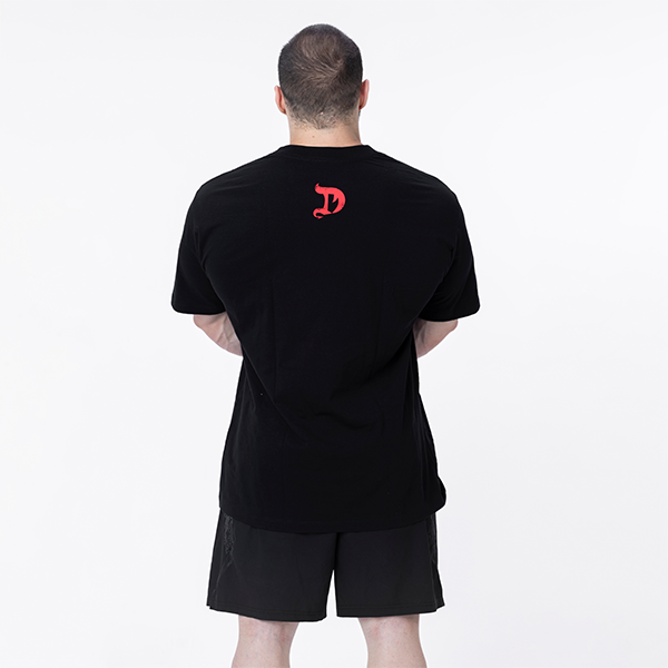 CAMISETA DRAGON LEGADO